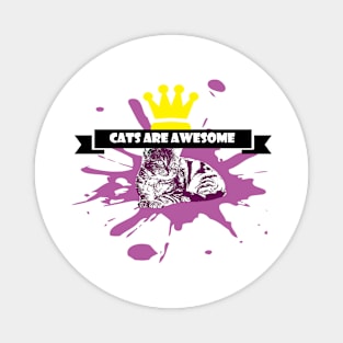 cats are awesome T-Shirt Magnet